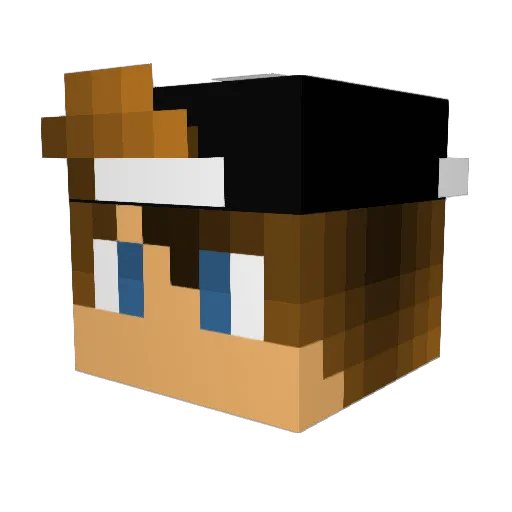 Robin2911 Minecraft avatar head, 3D render