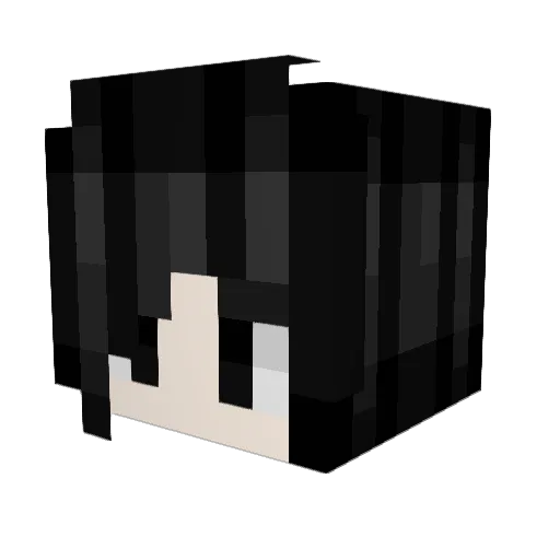 Robin4884 Minecraft avatar head, 3D render