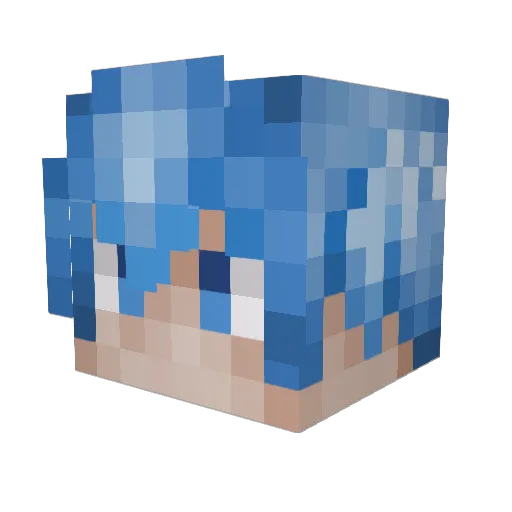 Robin521 Minecraft avatar head, 3D render