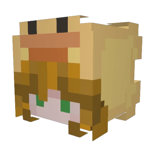 Robin8008 Minecraft avatar head, 3D render