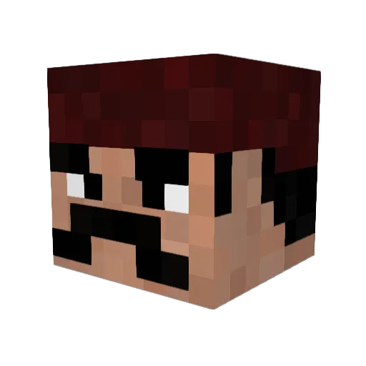 RobinAusDerH00d Minecraft avatar head, 3D render