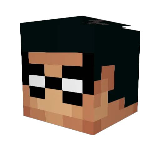 RobinBobin6502 Minecraft avatar head, 3D render