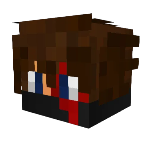 RobinG_00 Minecraft avatar head, 3D render
