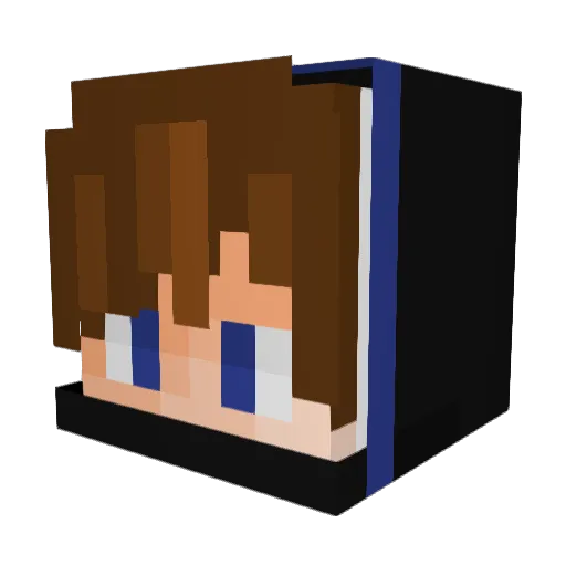 RobinHood9 Minecraft avatar head, 3D render