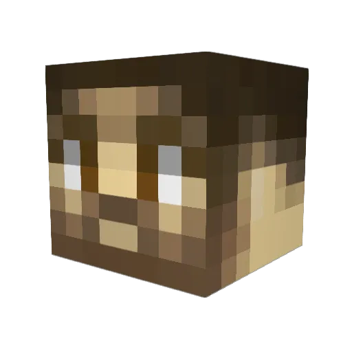 RobinPTMN Minecraft avatar head, 3D render