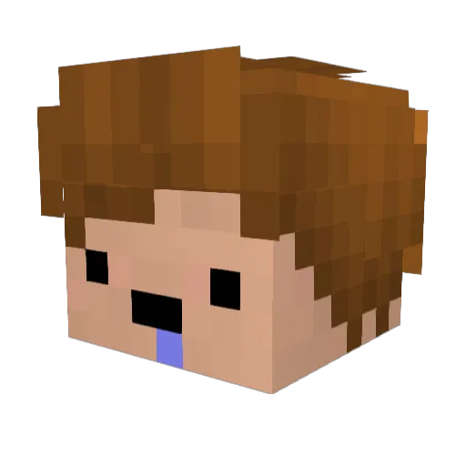 RobinPiff Minecraft avatar head, 3D render