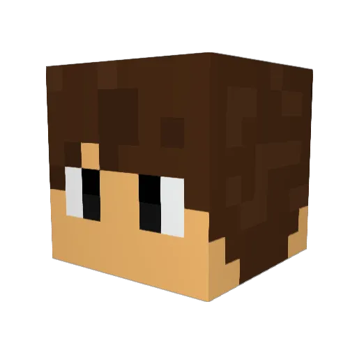 RobinPl4ys Minecraft avatar head, 3D render