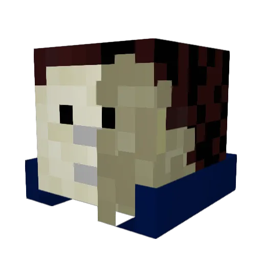 RobinPlays__ Minecraft avatar head, 3D render