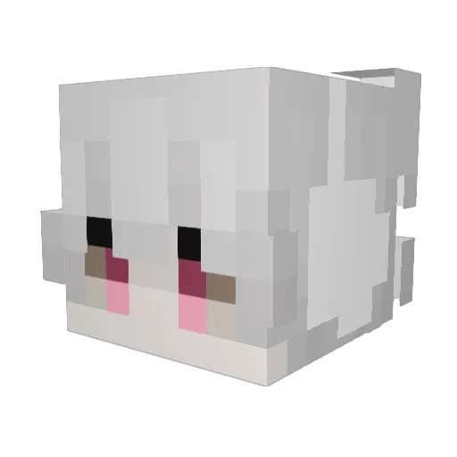 RobinProso Minecraft avatar head, 3D render