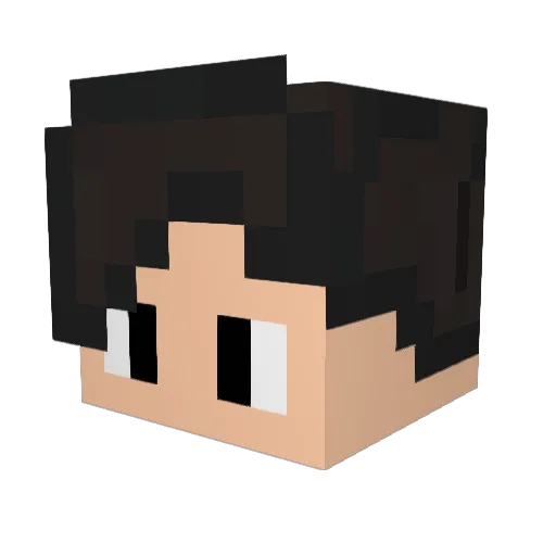 RobinSwag Minecraft avatar head, 3D render