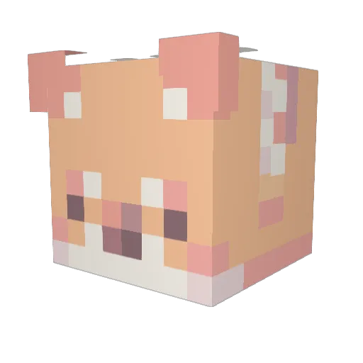 RobinTDragon Minecraft avatar head, 3D render