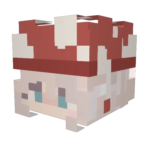 RobinUrHouse Minecraft avatar head, 3D render