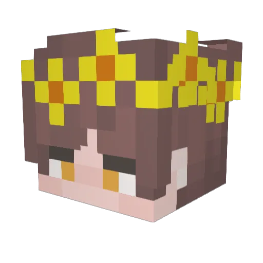RobinV10 Minecraft avatar head, 3D render