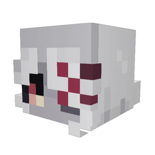 RobinVenom12 Minecraft avatar head, 3D render