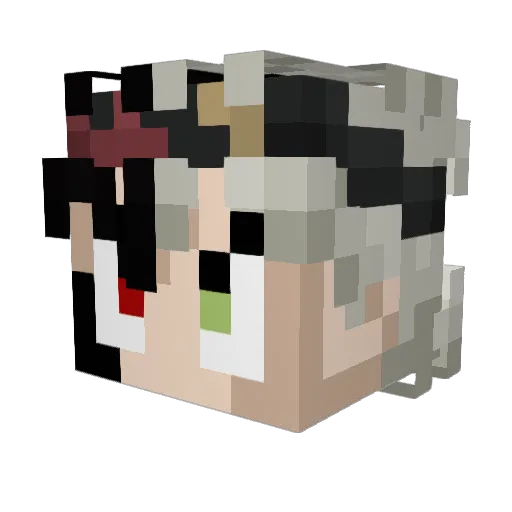 Robin_1476 Minecraft avatar head, 3D render