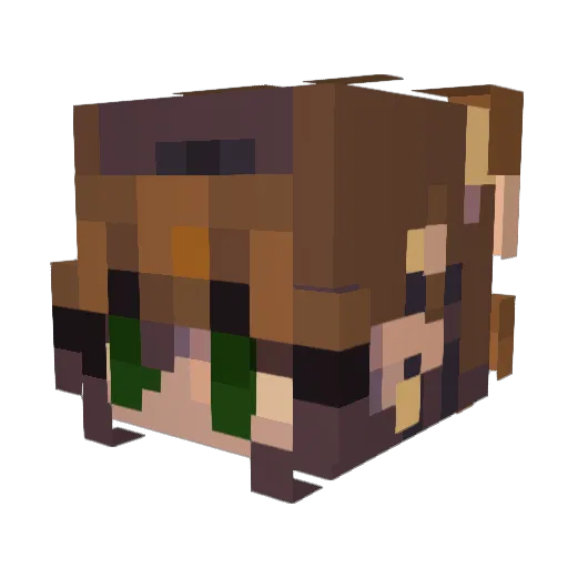 Robin_194 Minecraft avatar head, 3D render