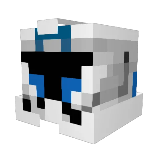 Robin_2407 Minecraft avatar head, 3D render