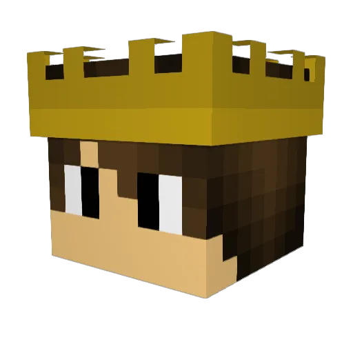 Robin_637 Minecraft avatar head, 3D render
