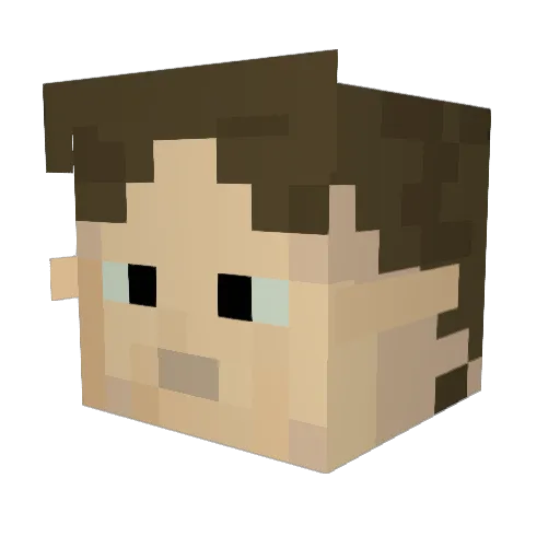 Robin_Texas Minecraft avatar head, 3D render