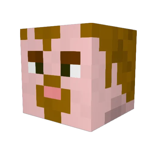 Robin_of_Loxley Minecraft avatar head, 3D render
