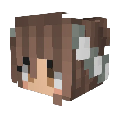 Robin_xia Minecraft avatar head, 3D render
