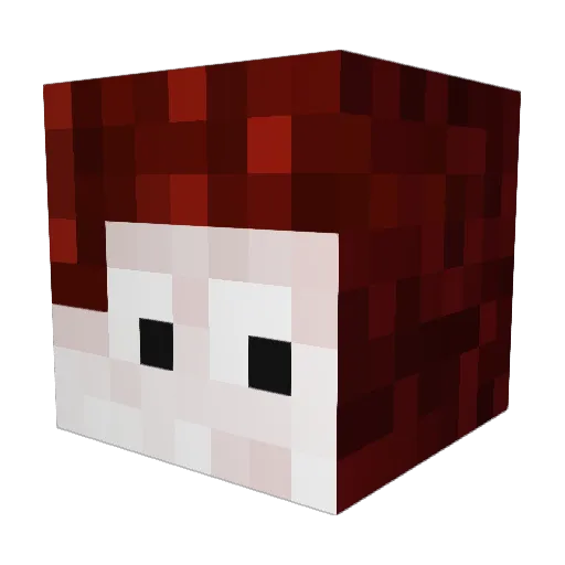 RobinaPatrik Minecraft avatar head, 3D render
