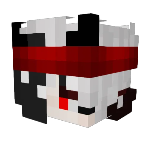 Robinater49 Minecraft avatar head, 3D render
