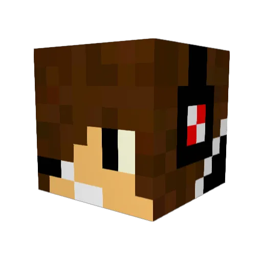 Robinations Minecraft avatar head, 3D render