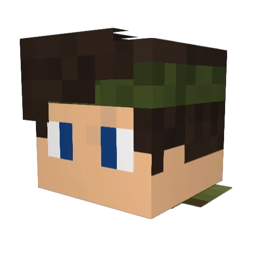 Robinator44 Minecraft avatar head, 3D render