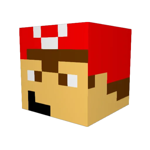 Robinboy9 Minecraft avatar head, 3D render