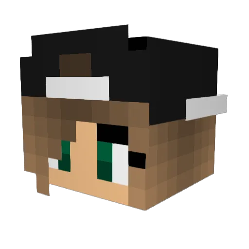 Robinho_NL Minecraft avatar head, 3D render
