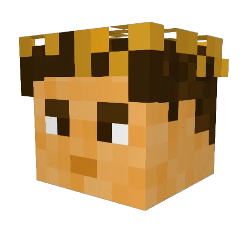 Robinho__ Minecraft avatar head, 3D render