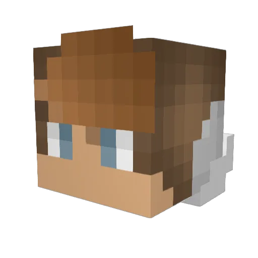 Robinjo06 Minecraft avatar head, 3D render