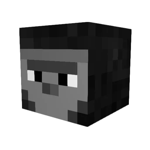 Robinjo25brx Minecraft avatar head, 3D render