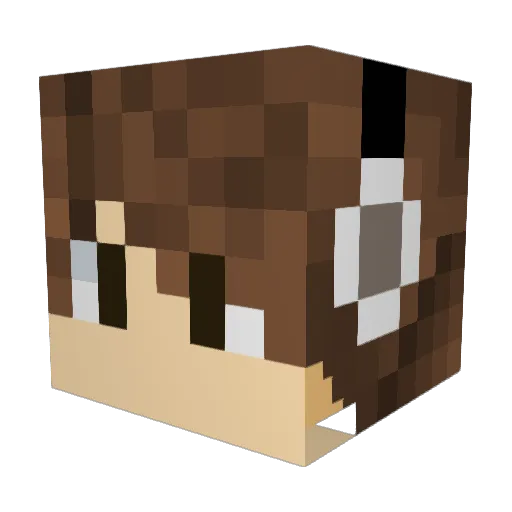 Robink32 Minecraft avatar head, 3D render