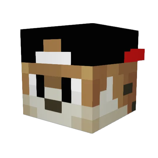 Robinkipp Minecraft avatar head, 3D render