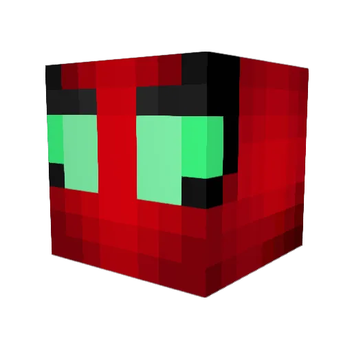 Robinn23 Minecraft avatar head, 3D render