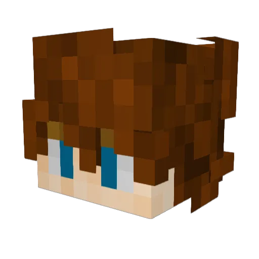 Robinninjago Minecraft avatar head, 3D render