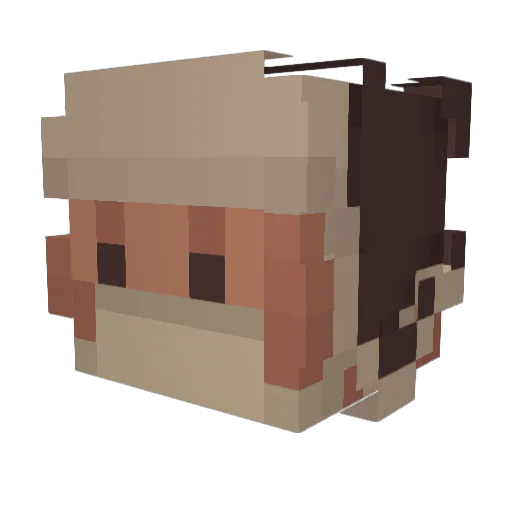 Robinonal Minecraft avatar head, 3D render