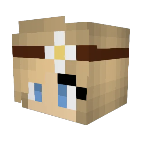 Robinsings Minecraft avatar head, 3D render