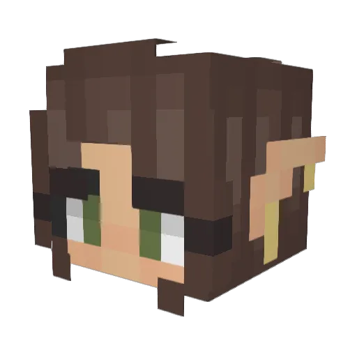 Robinski8 Minecraft avatar head, 3D render