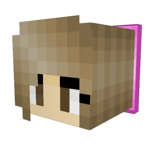 RobinsonCam Minecraft avatar head, 3D render