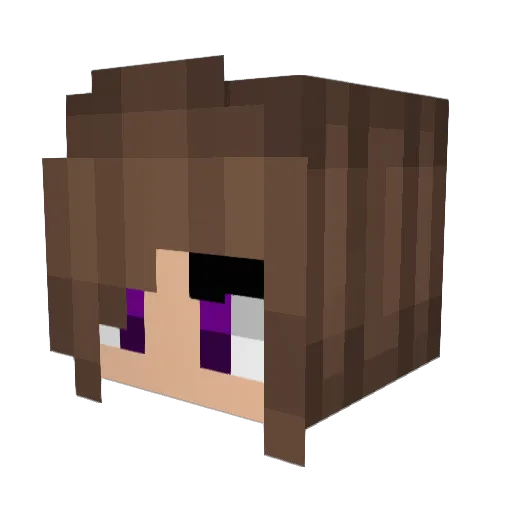 Robintjuh Minecraft avatar head, 3D render