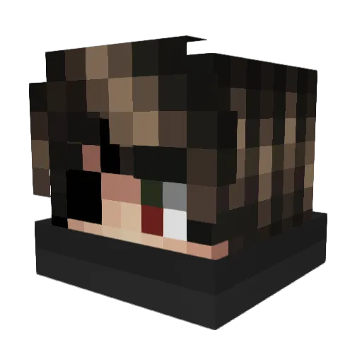 Robix73 Minecraft avatar head, 3D render