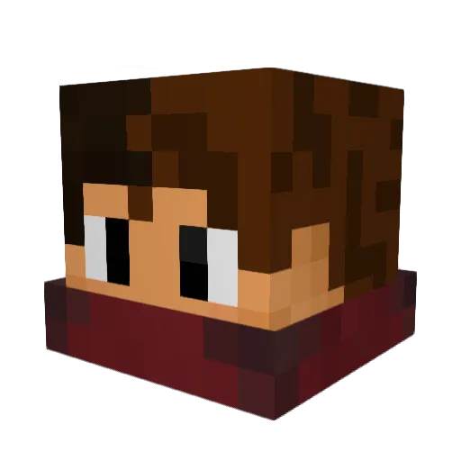 Robler25 Minecraft avatar head, 3D render
