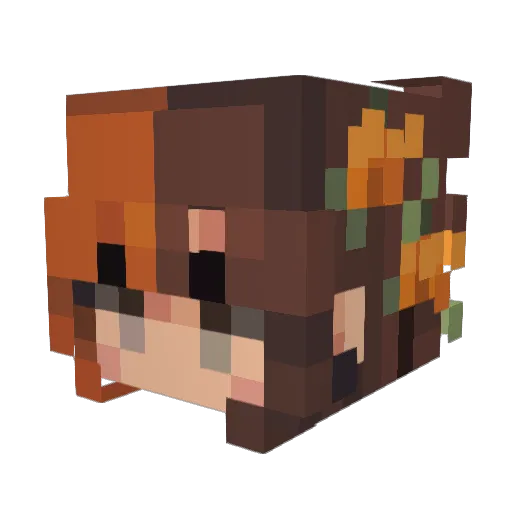 Roblert77 Minecraft avatar head, 3D render