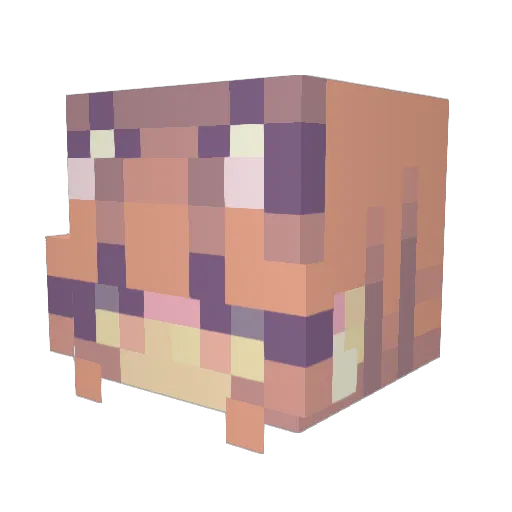 Minecraft-Avatar von RobloxDog: Kopf als 3D-Render