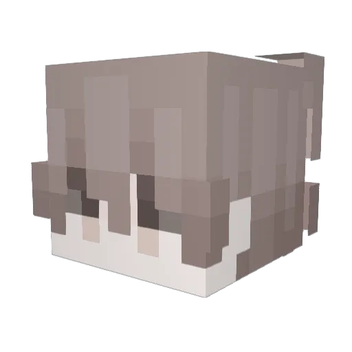 RobloxFighter777 Minecraft avatar head, 3D render