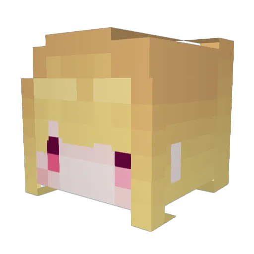 RobloxGirl2011 Minecraft avatar head, 3D render