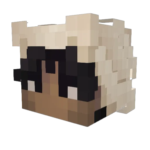 Robo1475 Minecraft avatar head, 3D render